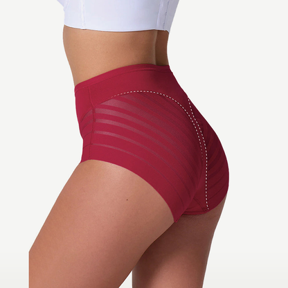 Undetectable Lace Ladies Underwear Panties